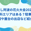 にし阿波の花火大会2024無料エリアはある？駐車場情報や屋台の出店など紹介！