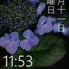 Windows Phone IS12T応援レポート７５・壁紙公開 #wp7jp