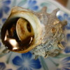 人は喜んで苦しむ
