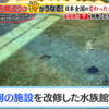 TV番組「オー！マイゴッド！私だけの神様、教えます」 むろと廃校水族館