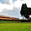 2022/10/16　いすみ鉄道　キハ　小谷松ー大多喜