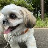 6/7の日記