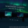 PSVR「NORTHERN LIGHTS 極北の夜空に輝く光の物語」感想！ただ静かにオーロラの下で佇む。癒し系VR。