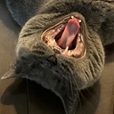 なんでもない日ばんざい日記