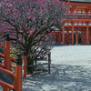 下鴨神社