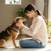 保護犬・保護猫を迎えるという選択肢
