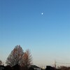 朝月が綺麗だった