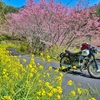 春風RIDE