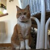 お若く見えます