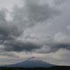 ５月３１日の富士山・卵塊