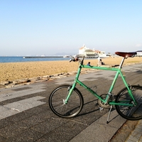 BIANCHI  MINIVELO  9  Lepre　ビアンキ  ミニベロ 9 Bianchi(ビアンキ)｜Lepre Minivelo-9 BROOKS ブルホーン