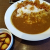 「カレーハウス ＣｏＣｏ壱番屋 東大宮店」【東大宮】