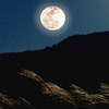 秋の夜長