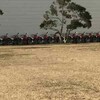 見る・予測・実行