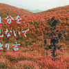 楽山の怖さ２
