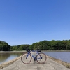 ロードバイクと空と田んぼと亀