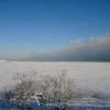 オホーツク海の気嵐(けあらし)
