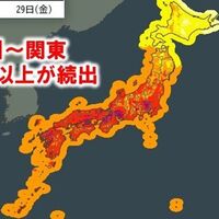 ボロボロアンテナ