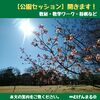 【公園セッション】のご案内