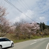 ﾍﾞﾗﾝﾀﾞ3本　→　お出かけﾁｮｲ桜　　ﾌﾟﾗﾝｸ125s×2