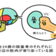イラスト超考察！永続的な小顔の作り方のロジックを学ぼう！