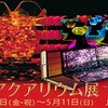 アートアクアリウム展　JR九州ホール