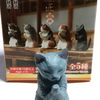 手を合わせる猫、衝動買い！！