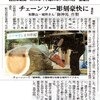 里宮神社様　御神馬彫刻関連記事　２点