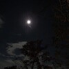 今夜の月