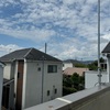 2024/08/25(Sun)