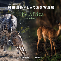 roadman2005のtest antenna