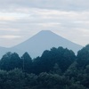 今朝の景色