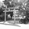 【出雲國】出雲郡・因佐神社。