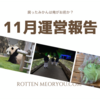 《ブログ運営》11月の結果とまとめ