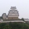 姫路城行ってきたよ。