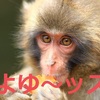 サルでも出来る！細かいパワースパイクを把握する方法。