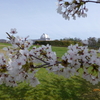 柳田植物公園