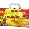  森のシンフォニーでカタンを小学生と遊ぶなど