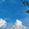 夏