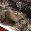魚で季節を感じる今日この頃