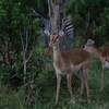 行ってみて分かったアフリカ旅行に必要なデジカメ