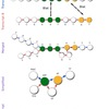 SuperTranscripts 其の１