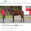 アイワナシーユー2020近況