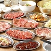 【オススメ5店】桜新町・用賀・二子玉川(東京)にあるホルモンが人気のお店