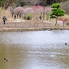 中池（神奈川県横浜）