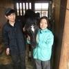 レイナティアを観に行きました！（沖田厩舎訪問）