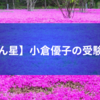 【こりん星】小倉優子の受験に学ぶ