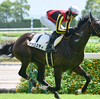 2024 - ラジオNIKKEI杯 京都 2歳ステークス - 予想・見解 / S-Johnny's - Garden