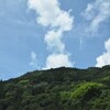 雨上がる梶ヶ森遊山　花の寺