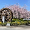 東海道五十三次ラン　伏見宿〜淀宿